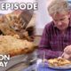 Gordon Ramsay Upset Over Lasagna | Kitchen Nightmares