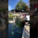 Guy Jumps From Large Rock In Water | People Are Awesome #shorts