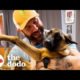 Guy Rescues A Malinois Puppy And Changes His Life | The Dodo