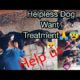 Helpless Dog Want Treatment🙏🐶😰@crazyHp23vlogger