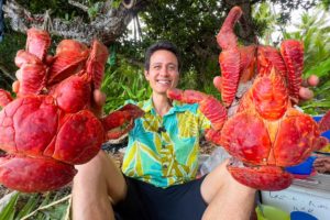 Huge Coconut Crab!! 🦀 (UNLIKE Any Other Crab on Earth!!) South Pacific Islands