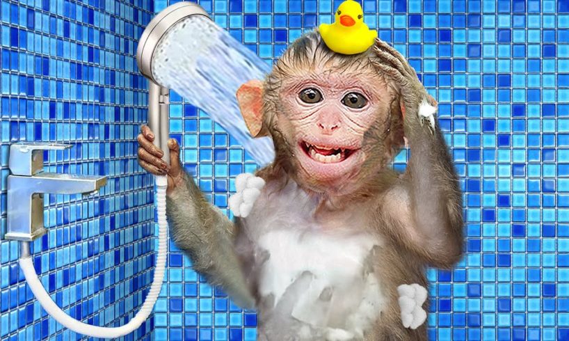 KiKi Monkey bathing in toilet after harvesting fruits on farm and play with puppy | KUDO ANIMAL KIKI