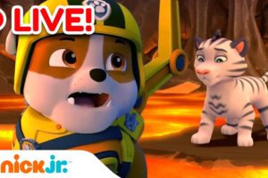 🔴 LIVE: Rubble's Animal Rescues! 🐯 w/ PAW Patrol Marshall, Chase & Skye! | Rubble & Crew