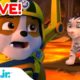 🔴 LIVE: Rubble's Animal Rescues! 🐯 w/ PAW Patrol Marshall, Chase & Skye! | Rubble & Crew