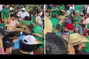 Levi's Stadium stabbing: Video shows massive fight during Mexico-Qatar soccer game