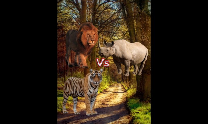 Lion Tiger Vs All Animal Fight Part 1 lion video lion song willd animals #shorts #viral #short