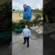 Man Balances Wheelbarrow on Chin and While Juggling | People Are Awesome #shorts