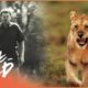 Man Survives Near-Death Attack After Being Mauled By A Lion | Human Prey | Real Wild