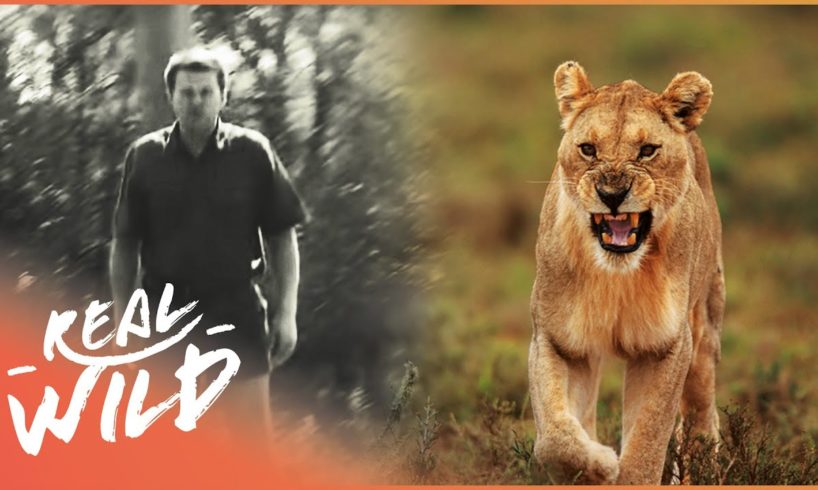 Man Survives Near-Death Attack After Being Mauled By A Lion | Human Prey | Real Wild