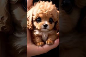 Meet the Cutest Puppy Ever! 🐶 | Must-Watch for Dog Lovers! #11