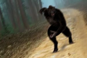 Mega Compilation of Unbelievable Trail Cam Footage That Will Shock You