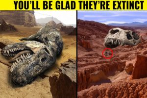 Most Terrifying Recent Dinosaur Fossil Discoveries | Compilation