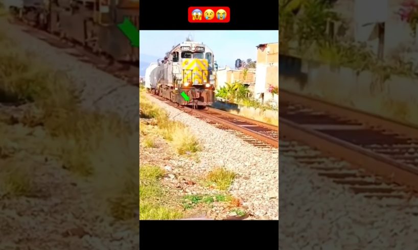 OMG! That's so shocking || I hope the dog is fine🥺