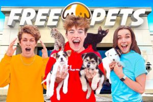 OPENED A FREE PET STORE!!