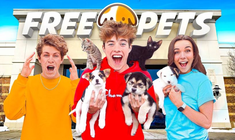 OPENED A FREE PET STORE!!