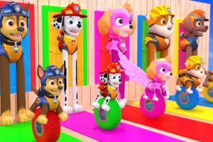 PAW Patrol - Guess The Right Door With Tire Game Mighty Pups Ultimate Rescue Max Level LONG LEGS