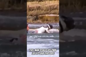 Person Rescues Dog From Frozen Lake!!!😲🥹 #shorts #viral #animals #rescue