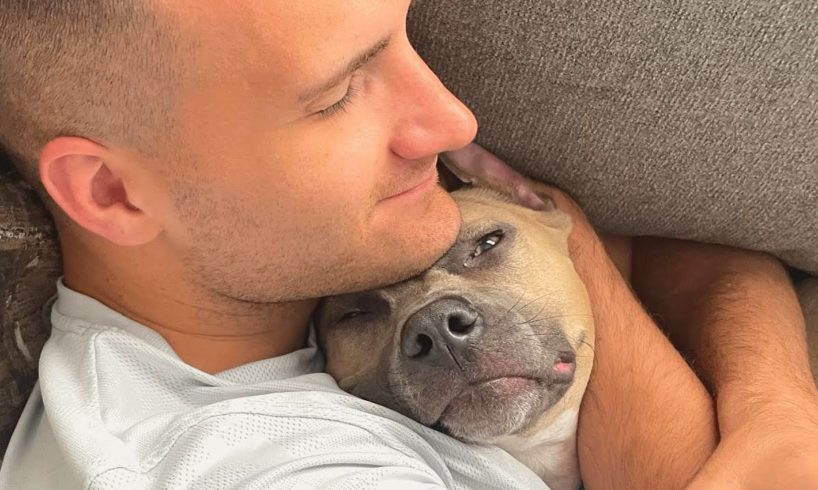 Pitbull adopter says no one tells you breed is so...