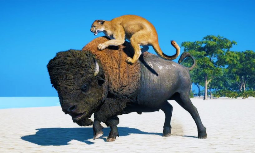 Puma VS All other Animals in Far Cry 5