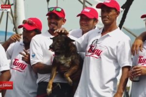 Rescued sailor’s dog to stay in Mexico