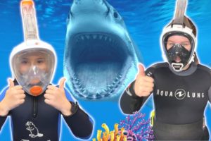 Ruby and Bonnie Diving with Sharks and Learning about Sea Animals