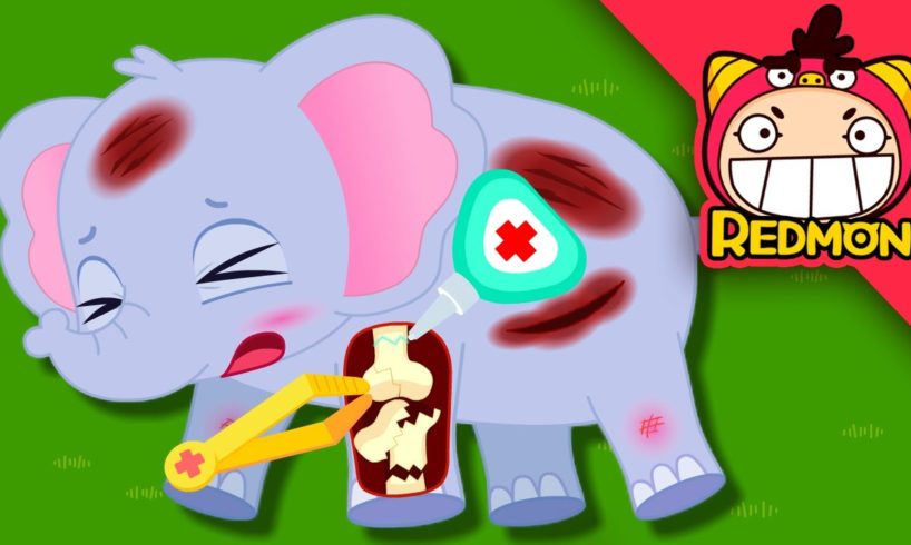 Save the Elephant | Animal Rescue Team | with alan | for toddlers | REDMON