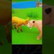 #Shorts Wild Animals Fights Compilation | Lion Vs Foxes | Toon Animals 2023