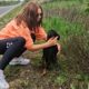 Skinny Heartbroken Dog Desperate for Help Found at the Roadside Rescued just in Time