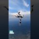 Skydivers Link Up While Free Falling | Big Air | People Are Awesome #shorts