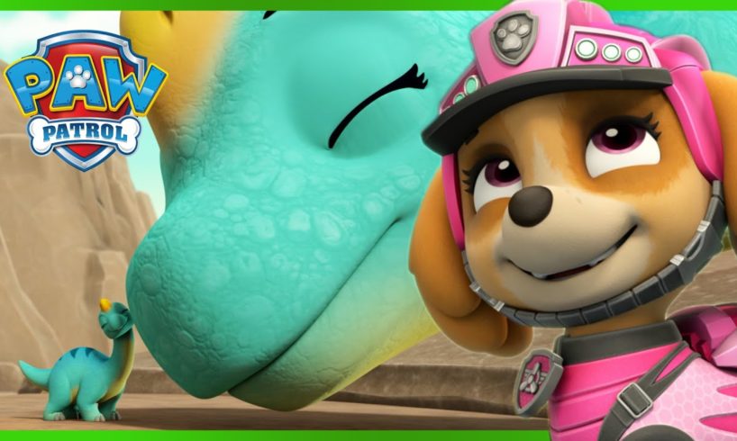 Skye Dino Rescues and MORE | PAW Patrol | Cartoons for Kids Compilation