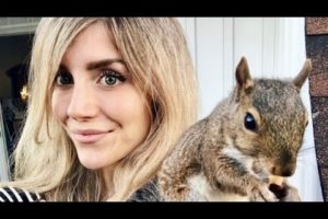 Squirrel found delicious food😱❤️। Animal Rescue Video।pagaltom.