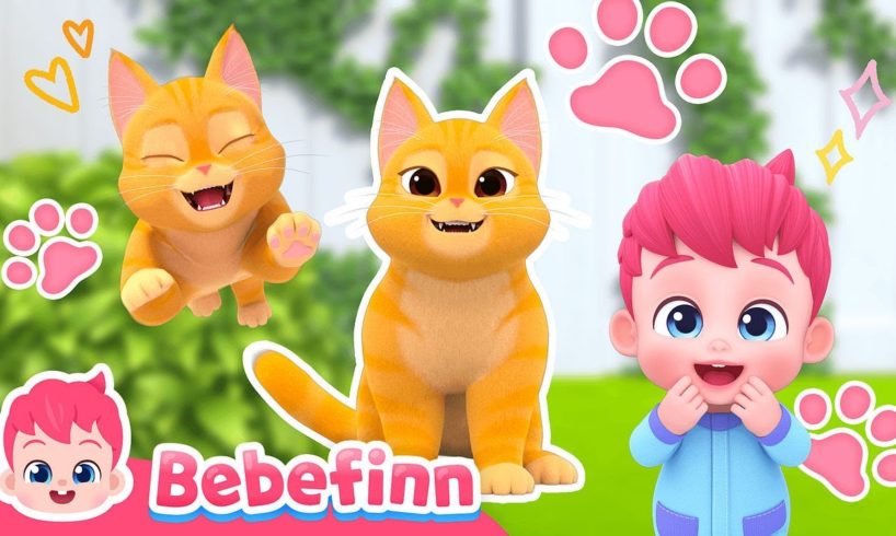 The Cat Song 😻 I'm A Ginger Cat Boo! Meow | Bebefinn Sing Along2 | Nursery Rhymes For Kids