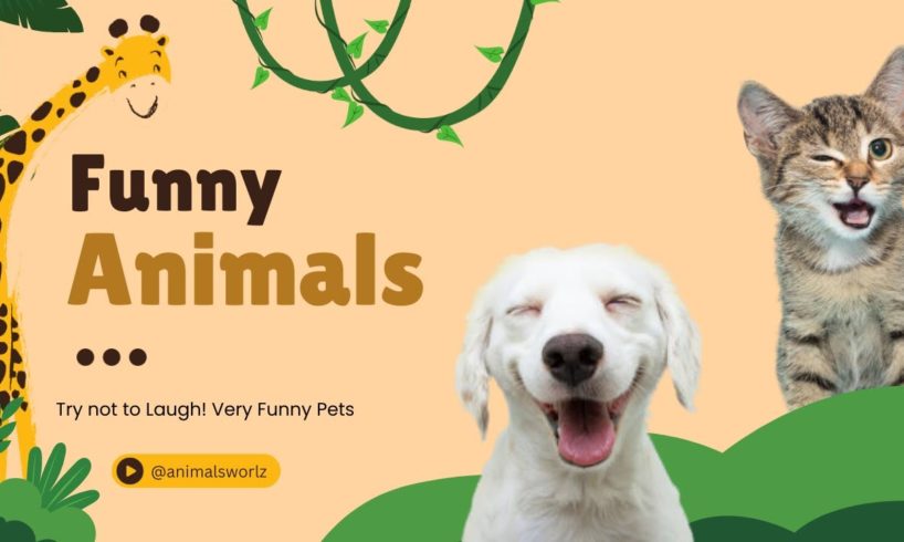 The Funniest and Cutest Dogs and Cats: Prepare to Laugh! 😁
