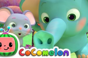 The Sneezing Song | CoComelon Nursery Rhymes & Kids Songs