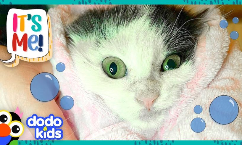 This Rude Kitty Does Not Do Baths! | It’s Me! | Dodo Kids