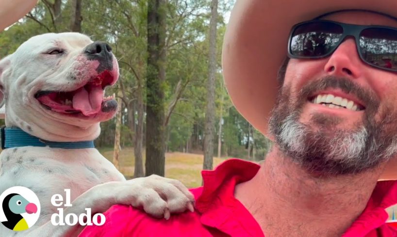 Todos los demás se dieron por vencidos con este pitbull... menos este chico | Puro Pitbull | El Dodo