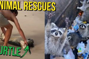 UNBELIEVABLE Life Saving Animal Rescues! Compilation #2