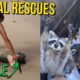 UNBELIEVABLE Life Saving Animal Rescues! Compilation #2