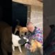 💪 Unleashing Hope: Heartwarming Dog Rescues in Bosnia! 🐶❤️