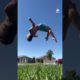 Walking Through Air & More Epic Backflips | Big Air | People Are Awesome #shorts