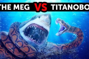 What If Megalodon Met the Biggest Snake Ever