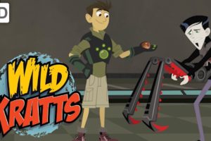 Wild Kratts 🤖 Part 3: Creature Rescue from the Robotics Expert | Kids Videos