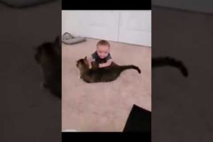 cute babies playing with animals 🐱🐈 part 1  #viral #viralvideo #youtubeshorts #animals #cute baby