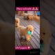 #cutest puppies 🐶🐶🐶 all together #cute 😍😍#cuteanimals #puppies #shorts #ytshorts