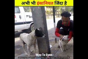 अभी भी इंसानियत जिंदा है 😢 | animal rescue team | dog rescue | Steps of Gyan #shorts