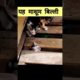 इस मासूम की बिल्ली की जान उसके मालिक ने बचाया।🥺🙏🙏#kitten #animals #rescue #cat #viral