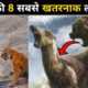 जंगली जानवरो की सबसे खतरनाक लड़ाई | 8 Most Dangerous Wild Animal Fights