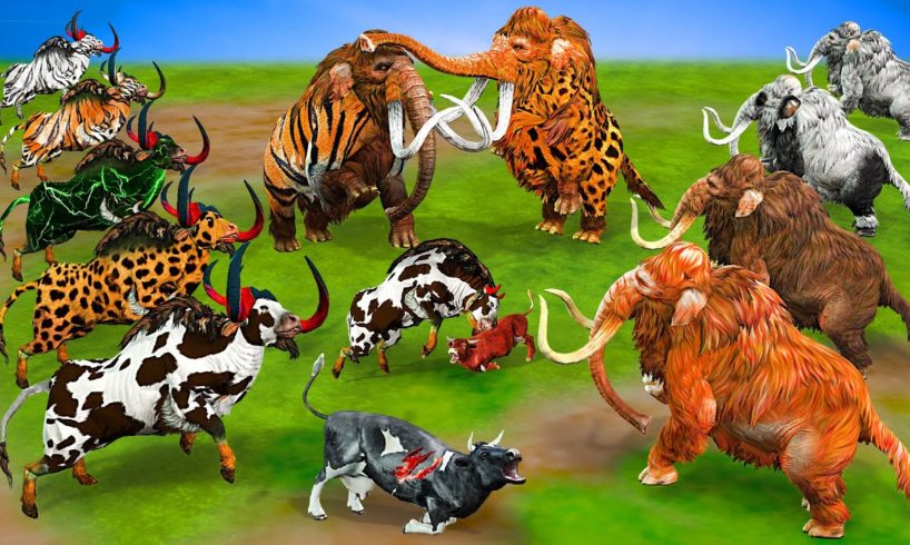 10 Monster Bull Vs 10 Zombie Mammoth fight for Cow Cartoon Saved By Tiger Mammoth Wild Animal Battle