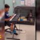10-year-old plays live music to dogs