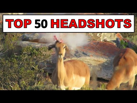 12 minutes of Insane Hunting Headshots